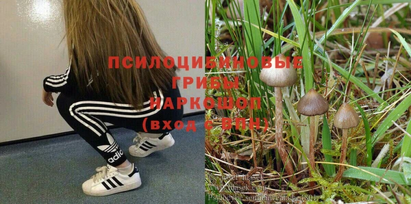 spice Апатиты