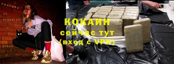 кокс Аша